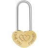 SEIWEI Lucchetto a forma di cuore inciso con Love You Forever, lucchetto a doppio cuore, per albero dei desideri, ponte di acacia, recinzione