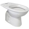RAK Ceramics VASO WC MONOBLOCCO KARLA KENZIA Sanitari Ceramica RAK Scarico Pavimento