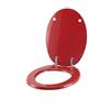 ACB/COLBAM Copriwater Ideal Standard ELLISSE-ELLISSE PIU'' ROSSO BERTOCCI Cerniera Cromo-Sedile-Asse Wc