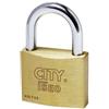 Iseo LUCCHETTO ISEO MM.50 CHIAVE UNICA
