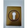 SECUREMME BOCCHETTA ROSETTA QUADRA PER PORTA PORTONE BLINDATO, PIASTRINA PER CILINDRO EUROPEO FINITURA ALLUMINIO BRONZATO F4 82X62 COMPLETA DI VITI DI FISSAGGIO SECUREMME