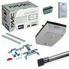 Dieffematic FAAC DOLPHIN KIT 24V PORTA GARAGE BASCULANTE SEZIONALE MOTORE 24V + GUIDA 3.2M