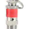 AYYSSM Mini 1/8 1/4 BSPT Maschio 0,5-10 Bar 304 Acciaio Inox 04 Molla Sanitaria Valvola di Sicurezza for Compressore d'Aria(0.4mpa 4Bar,1l4 BSPT)