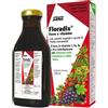 EUROSALUS ITALIA SPA (OMEO) FLORADIX FERRO+5 VITAMINE 250ML