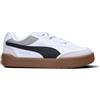 PUMA - PARK LIFESTYLE SK8