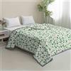 Hiseng Trapuntato Copriletto Primaverile Estivo, Mezza Stagione Trapunta Singolo, Copriletto Microfibra Trapunta, Goffrato Coperta per Matrimoniale (Verde primavera,155x220cm)