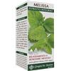 GIORGINI MELISSA ESTRATTO INTEGRALE 200 ML
