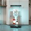 Teahutty Vetrina in vetro con 2 ripiani con luci, 1 ante, vetrina con pavimento in legno, vetrina autoportante in vetro, per oggetti da collezione, ibri e vini (Nero, 1 porta+2 piani+LED)