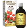 GIORGINI ROSA CANINA LIQ ANAL GEMMO 10+