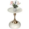 Ginhow Tavolino Piccolo da Salotto, Tavolo da Salotto Moderno di Lusso, Tavolino da Esterno Basso per Soggiorno, Camera da Letto, Balcone, Ø40cm Beige+Oro (1 Pezzo)