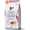 Monge Special Dog Excellence Monoprotein Adult Medium con Maiale - Sacco Da 3 Kg
