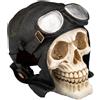AQPET Decorart Biker Skull Decorazione in Resina 13,5x11x12 cm