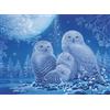 Ravensburger Puzzle Ravensburger 12000479 - gufi al chiaro di luna - Puzzle da 500 pezzi per adulti e bambini dai 12 anni in su, puzzle con animali