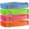 Nobleza COLLARE IN NYLON TINTA UNITA (1 x 20-30 CM.)