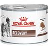 ROYAL CANIN DOG/CAT RECOVERY 195 GR.