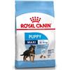 ROYAL CANIN DOG MAXI PUPPY 3 KG.
