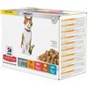 HILL'S Science Plan Feline Young Adult Sterilised Cat Multipack con il pollo, con la trota, con il tonno, con il salmone 12 x 85g
