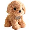 COXZD HUIOP Simulazione all'Ingrosso Teddy Dog Peluche Bambola Cucciolo Cane Bambola Carino Barboncino per Inviare afferrare Regalo TeddyDog-Beige 25 cm
