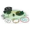 MOTORPARTS SRL Gruppo termico ø 49 per motori Minarelli AM345/6 - TopPerformances 9919250