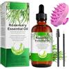 ATOANY Olio di Rosmarino per la Crescita dei Capelli 120ml con Massaggiatore per Cuoio Capelluto, Puro Olio Essenziale di Rosmarino per Ciglia, Sopracciglia, Viso, Cura della Pelle, Massaggio del Corpo