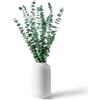 CAwished 12 pz eucalipto essiccati fiori secchi decorativi 45 cm naturali verdi freschi con vere foglie di eucalipto pianta ideali per vasi composizioni floreali decorazioni per matrimoni e casa