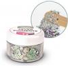 Reschimica GLITTER CHAMELEON - Brillantini per decorazioni Resina e nail art, effetto brillante e scintillante (5gr), Colore Magia