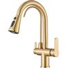 JUNSHENG Rubinetto da Cucina, Rubinetto del Lavello Della Cucina con Acqua Pura, Rubinetto da Cucina 3 in 1 con Doccia Estraibile, Oro Spazzolato, Girevole a 360