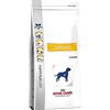 Royal Canin Dog Food Cardiaco EC26-14 kg