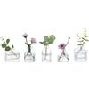Glasseam Piccoli vasi per fiori: set di 5 vasi in vetro trasparente per casa, soggiorno, tavoli da pranzo, matrimoni, feste, centrotavola