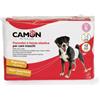 Camon 12 Pannolini a Fascia Elastica Small Mis.1 Per Cani Maschi