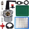ZAMDOE Carburatore per Briggs & Stratton 110402 110412 215369 Motore del timone con 696065 697422 Carburatore Cartuccia Filtro Aria Candela Guarnizioni Tubo Carburante