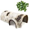Cosyall Rettile Nascondi Grotte Simulazione Nascondiglio Albero Nascondi Serpente Leopardo Geco Terrario Habitat Riparo Decor per Lucertola Granchio Eremita Ragno Rana Anfibi (M)