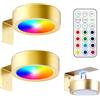 TaimeiMao 2Pcs Luce per Quadri Senza Fili con Telecomando Magnetic Painting Light Lampada Applique Quadro Luci da Parete Interno a Batteria Luce Muro per Esposizione Pittura Vetrina (13 colori)