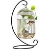 SWEETBIUTI Ciotola di pesce, serbatoio di pesce a parete limpida con supporto nero tavolo piccolo vetro beta vasca creativa vaso acquario per ufficio domestico ciotola, muro, montato, beta