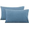 HOME ZEN HOUSEHOLD LINEN Coppia federe linea Candy 2 pezzi in morbido cotone con chiusura a busta - a sacco - colori basics vivaci (Blu avio)