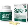 INNOVET ITALIA Srl CONDROSTRESS + 60CPR MASTIC