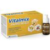 MONTEFARMACO OTC SPA Vitalmix Pappa Reale Integratore Energetico 10 Flaconcini