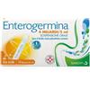 OPELLA HEALTHCARE ITALY SRL Enterogermina 4 Miliardi/5 ml Sospensione Orale 10 Flaconcini