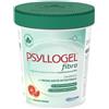 GIULIANI SPA Psyllogel Fibra Arance Rosse 170 g - Integratore Fibra di Psyllium 99%