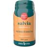 ERBA VITA GROUP SPA Erba vita -Salvia 60 Capsule integratore Naturale per Menopausa e Sudorazione