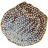 Tognana 32x30 cm - Reef Piatto Piano In Porcellana - Set 6 Pz