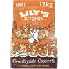 Lily's Kitchen Con ingredienti naturali Cibo secco per cani adulti Ricetta senza cereali con pollo e anatra Sacco da 12kg