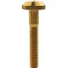 Yaruijia - Bullone in titanio M6 x 12 15 20 25 30 35 mm a testa a brugola per parti di biciclette moto (M6 x 35 mm, arcobaleno)