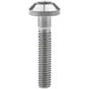 Yaruijia Bullone Titanio M6x12 15 20 25 30 35mm Vite a brugola per biciclette moto parti (M6x30mm, Titanio)