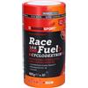 NAMEDSPORT Srl NamedSport, Race Fuel Cyclodextrin, 400 g