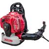 Soffiatore Cifarelli BL 1200