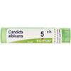 BOIRON CANDIDA ALBICAN 5CH GR BO