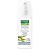 RAUSCH AG KREUZLINGEN Spray Spec Cort Salice 100ml