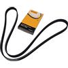 ContiTech CONTINENTAL CTAM Cinghia Poly-V 5PK1546