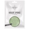 FARM. DELLE ERBE (DIV.COSWELL) FDE KONJAC SPONGE TE' VERDE